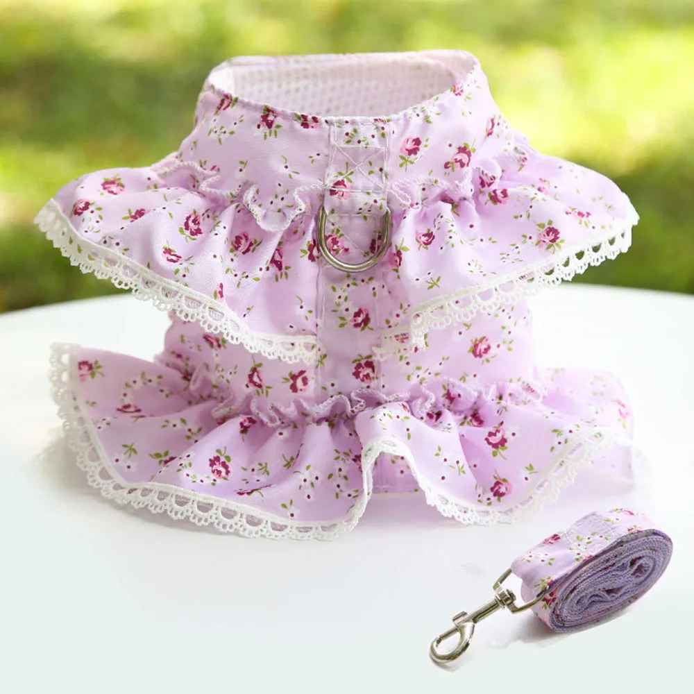 Harnais petit Chien | Collerette Volants Dentelle