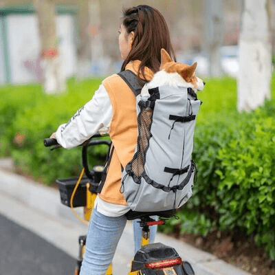 Sac à Dos pour Chien - NomadeDog - Gris