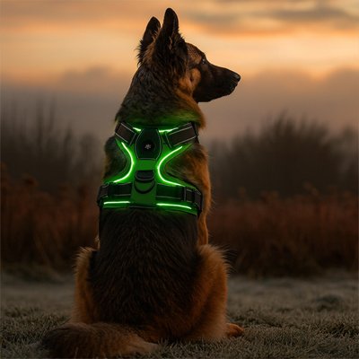 Harnais chien | SmartGlow Harnais