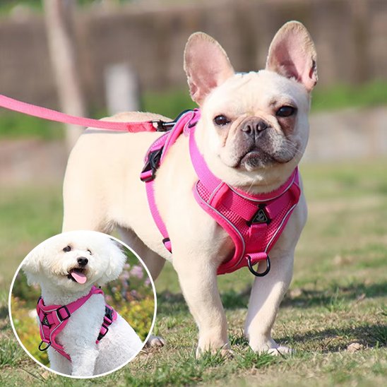 Harnais pour chien | Harnais Harmonie