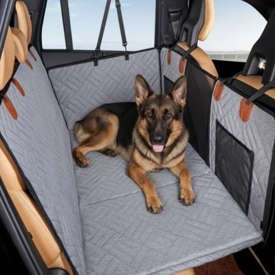 Protection voiture chien | Tout-Terrain