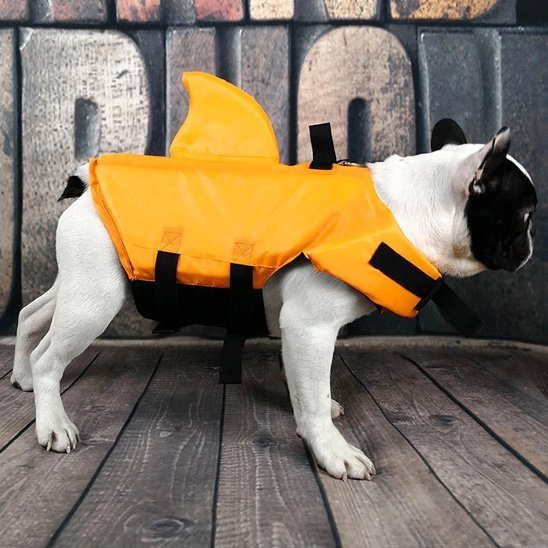 Gilet de sauvetage chien | Nautipro
