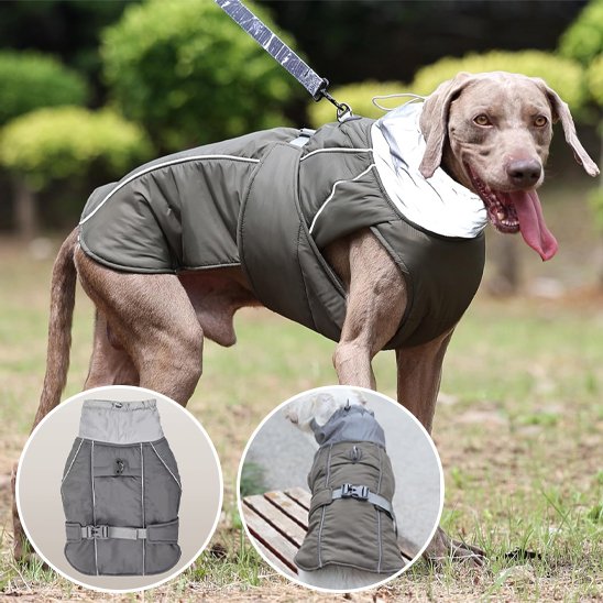 Manteau pour chien | CozyGuard Pro