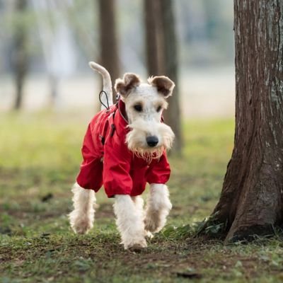 Imperméable pour chien | Imperméable Chien Léger