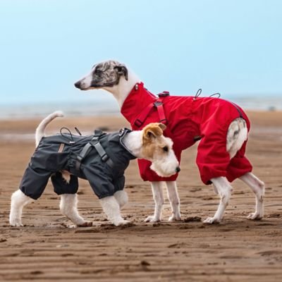 Imperméable pour chien | Imperméable Chien Léger
