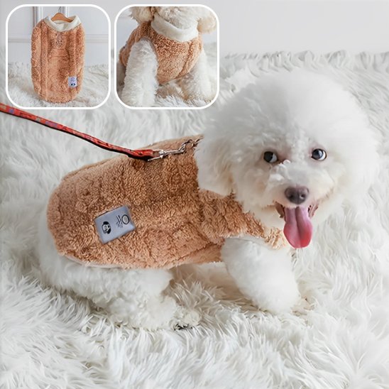 Manteau chien | Coton Hivernal