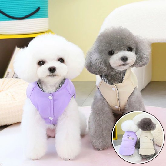 Manteau chien | Manteau Chien Douillet Hiver