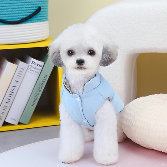 Manteau chien | Manteau Chien Douillet Hiver