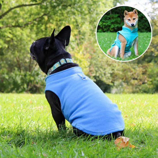 Manteau chien | Manteau Canin Cocon d'Hiver