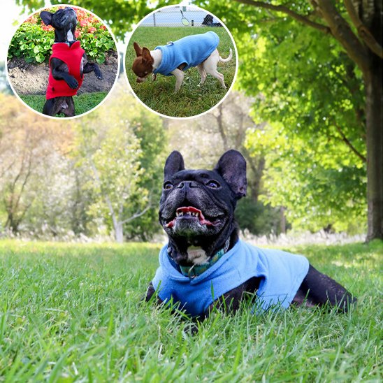 Manteau chien | Manteau Canin Cocon d'Hiver