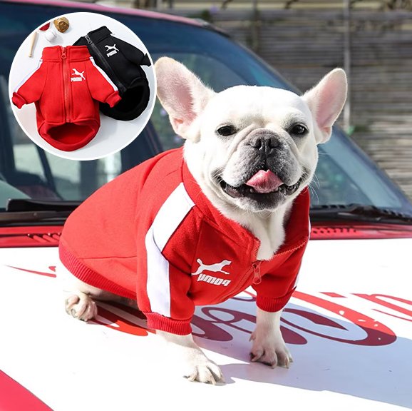 Pull chien | Star Puppy Sport Pull