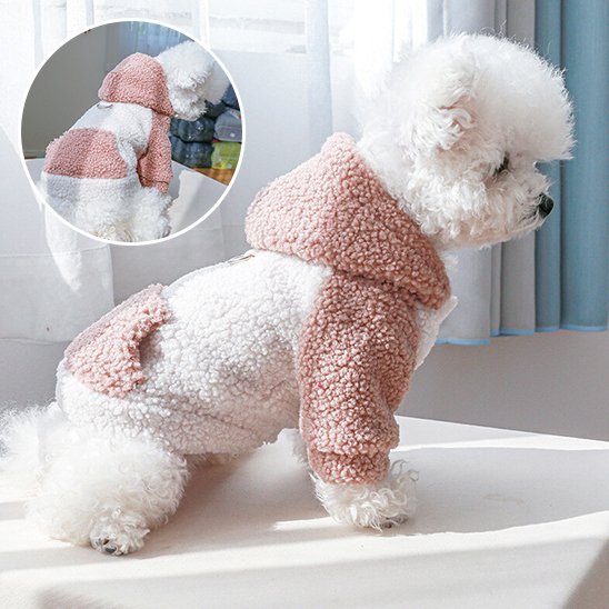Pull chien | Pull Chien Hiver Stylé