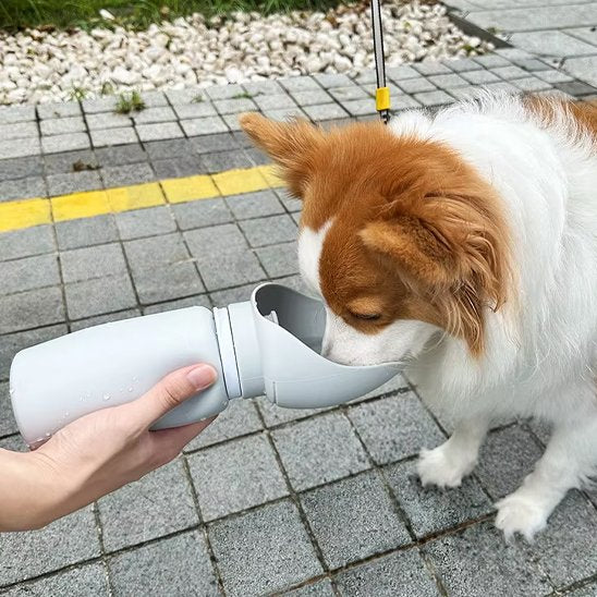 Gourde chien | Gourde Canine Voyage