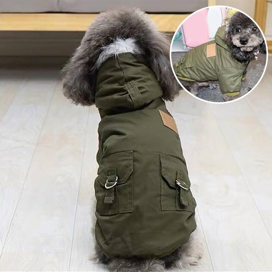 Manteau pour chien | UrbanParka Chien