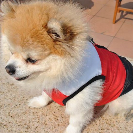 Manteau chien | EasyZip