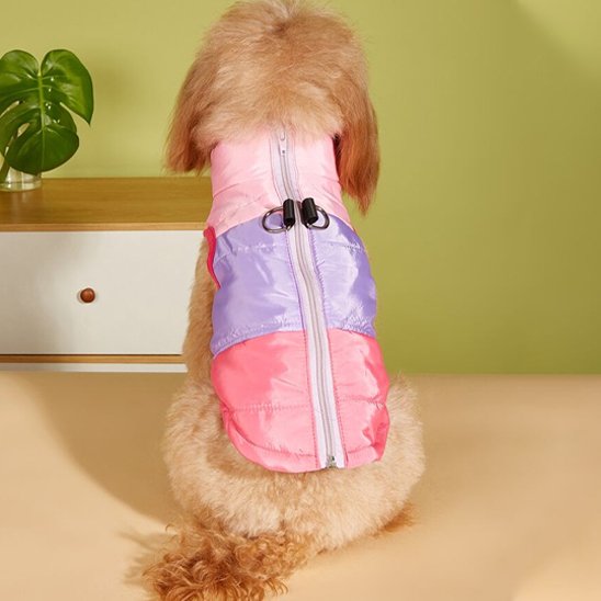 Manteau chien | EasyZip