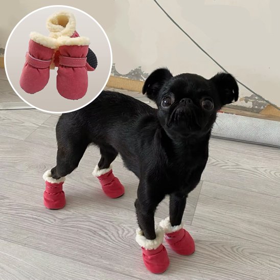 Chaussures Chien | 4Seasons Boots