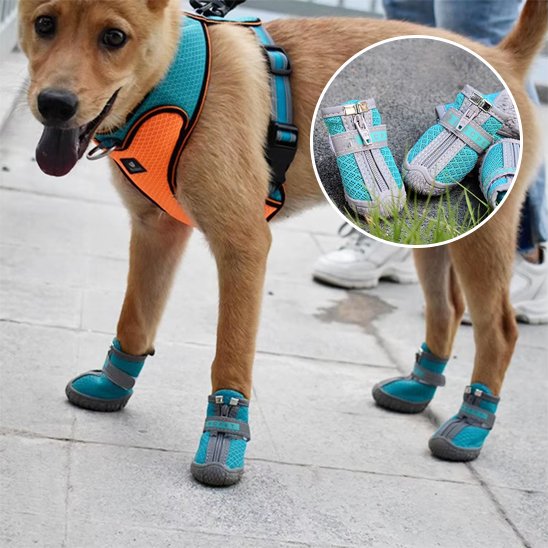 Chaussures Chien Imperméables | Chaussures Respirantes Visibilité Nocturne