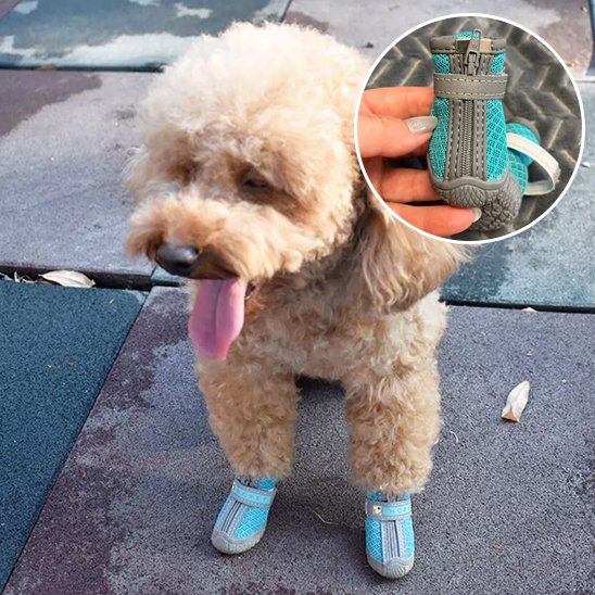 Chaussures Chien Imperméables | Chaussures Respirantes Visibilité Nocturne