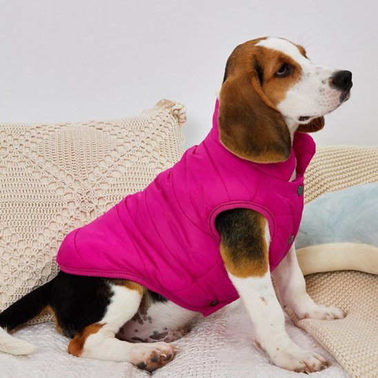 Manteau pour chien | Manteau Prestige Thermique