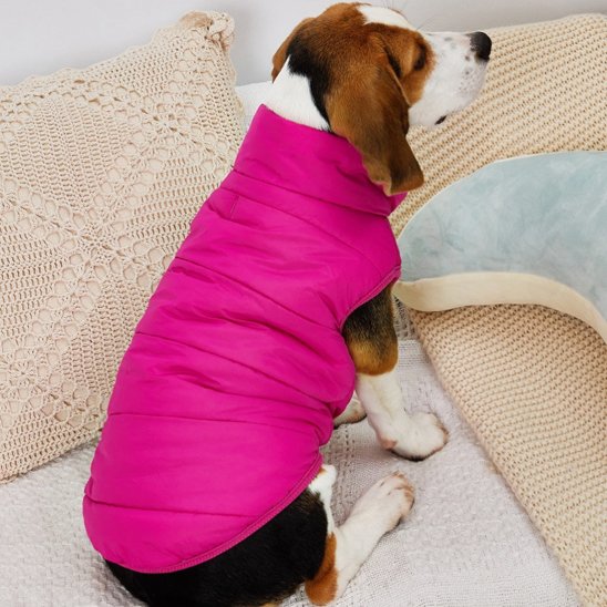 Manteau pour chien | Manteau Prestige Thermique