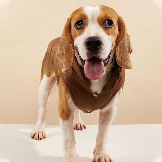 Manteau pour chien | Manteau Prestige Thermique