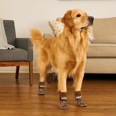 Chaussette pour chien | Chaussettes Grip Plus