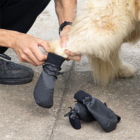 Chaussure Chien | PawBoots Protection