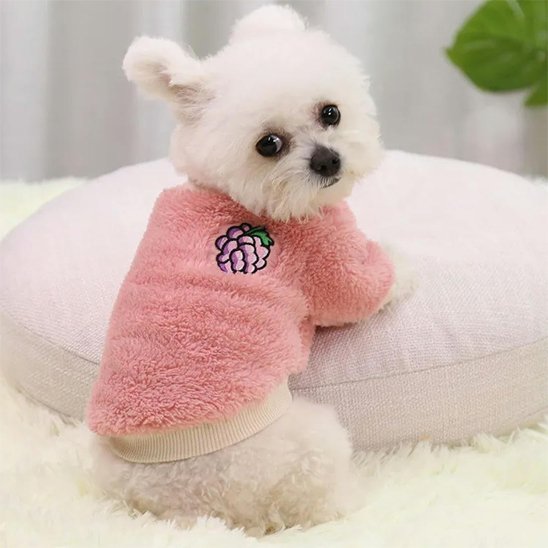 Pull pour Chien | Pull Sherpa Fruits