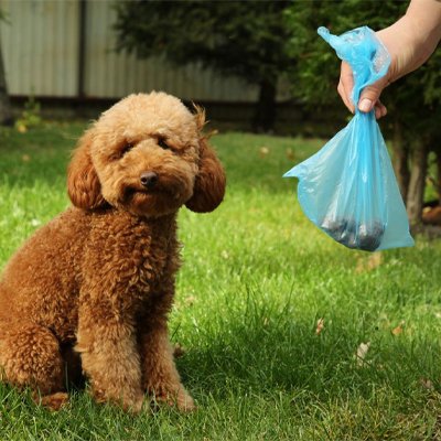Sacs à Crottes Biodégradables | EcoPaw