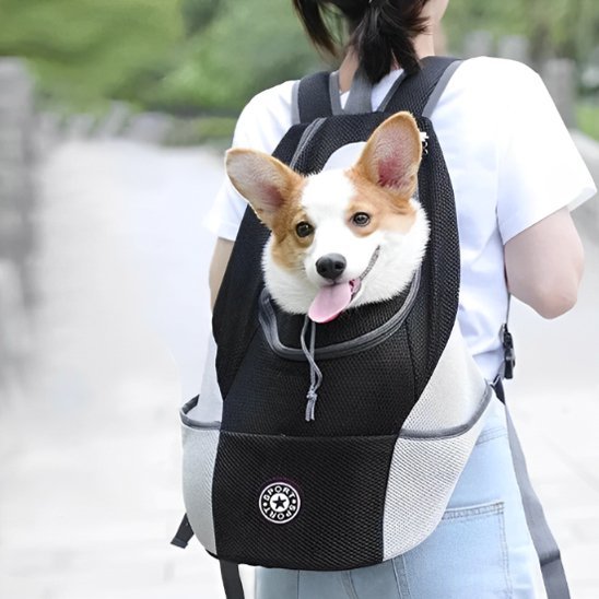 Sac Ă  Dos pour Chien | AdventureBack Carrier*