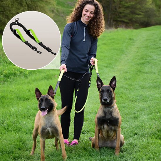 Double laisse pour chien | Twin Walk
