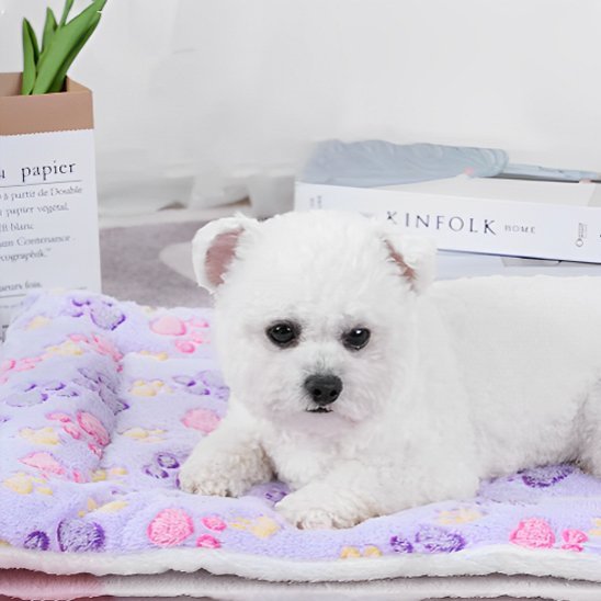 Tapis pour chien | Literie premium pour chiens