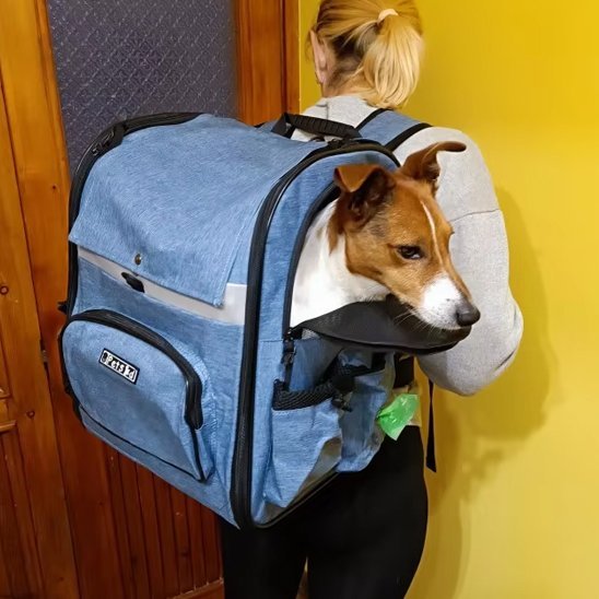 Sac de transport pour chien | DogPack Adventure