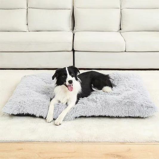 Coussin pour chien | ComfortElite