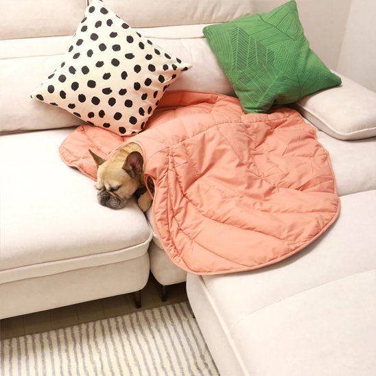 Tapis pour chien | Repos Royal pour Chien