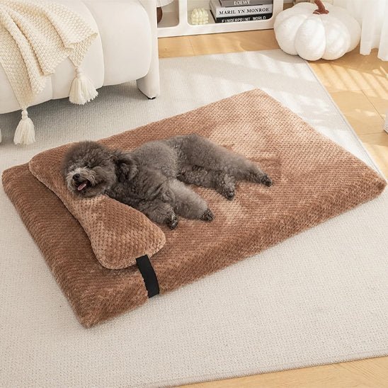 Lit pour chien | DCouchage design pour chiens