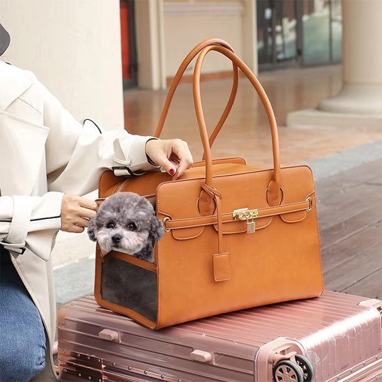 Sac de Transport pour Chien | RoyalCarrier Camel