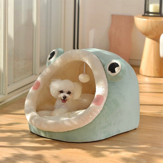 Lit pour chien | Grenouille