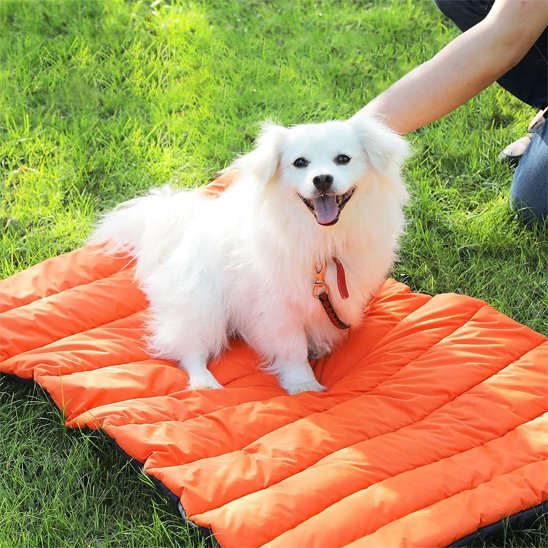 Tapis pour chien | Confort Lavable