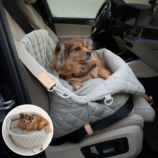 Sac de Transport pour Chien | LuxeRide Carrier
