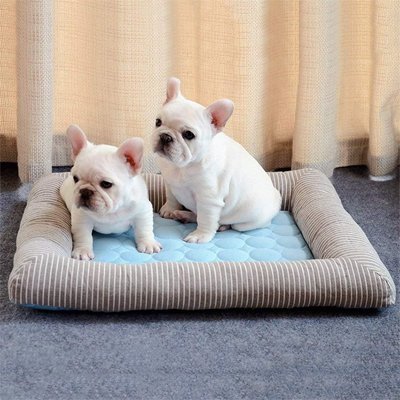 Tapis rafraichissant Chien | CoolComfort