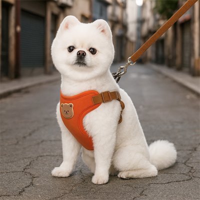 Harnais pour petit Chien | PetitConfort Pro