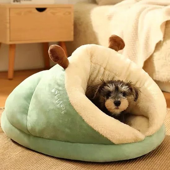 Lit pour chien | Insecte Douillet