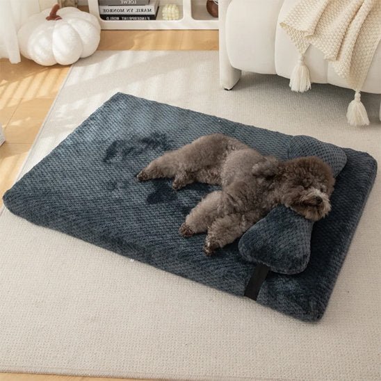 Lit pour chien | DCouchage design pour chiens