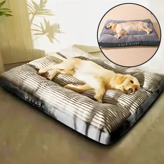 Coussin chien | Ultra-confortable
