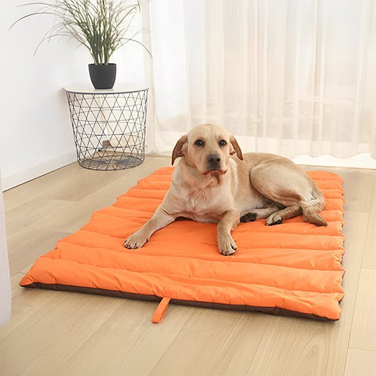 Tapis pour chien | Confort Lavable