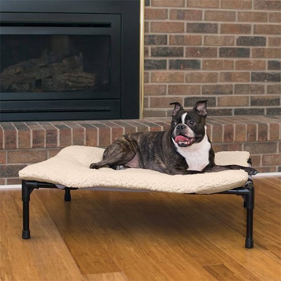 Lit pour chien surélevé | Orthopédique