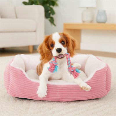 Coussin Chien | Confort canin