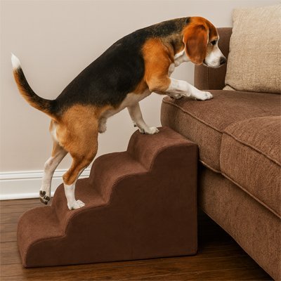 Escalier pour chien | PetMobility